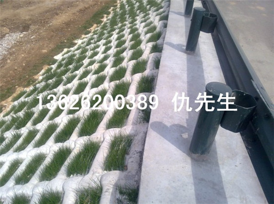 無錫生態模袋護4.jpg
