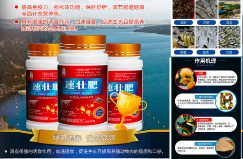 華佗醫(yī)藥水產(chǎn)促生長解決方案 助力海參、蝦蟹與魚類高效養(yǎng)殖