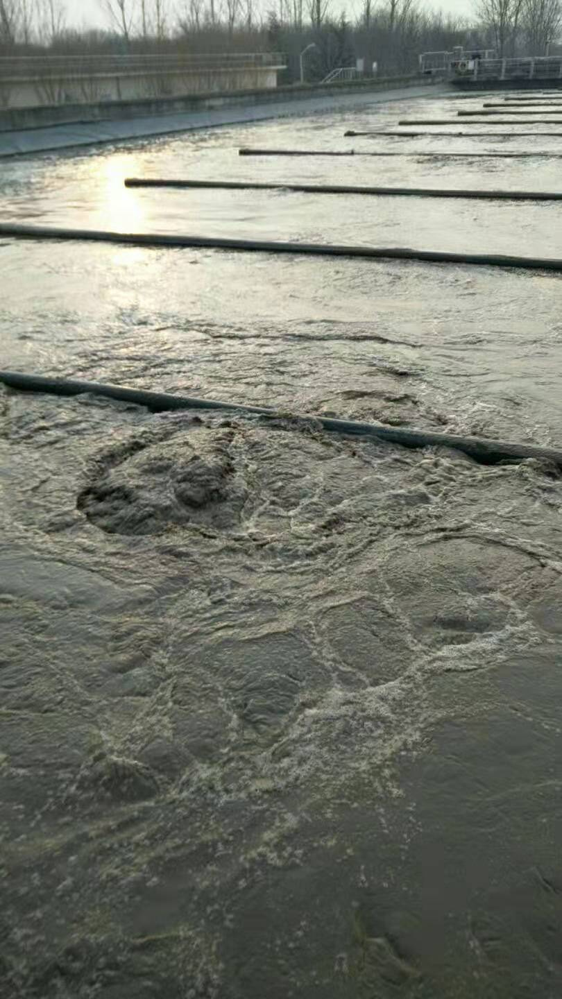 污水廠水下換爆氣頭